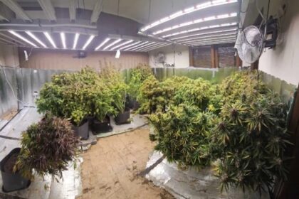 Εργαστήριο υδροπονικής καλλιέργειας κάνναβης Θεσσαλονίκη αστυνομία
