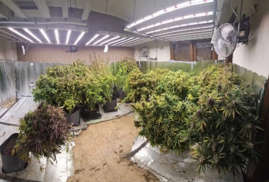 Εργαστήριο υδροπονικής καλλιέργειας κάνναβης Θεσσαλονίκη αστυνομία