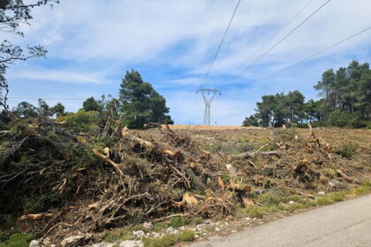 Καλαμαριά υποχρεωτικοί καθαρισμοί οικοπέδων αντιπυρική