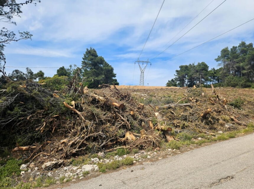 Καλαμαριά υποχρεωτικοί καθαρισμοί οικοπέδων αντιπυρική