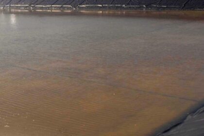 Ανάσυρση ηλικιωμένου από λιμνοδεξαμενή Χερσονήσου