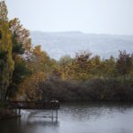 Διασώστης ΕΜΑΚ σώζει γλάρο φράγμα Θέρμης