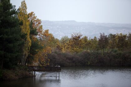 Διασώστης ΕΜΑΚ σώζει γλάρο φράγμα Θέρμης