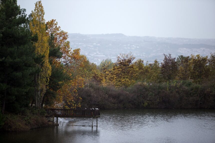 Διασώστης ΕΜΑΚ σώζει γλάρο φράγμα Θέρμης