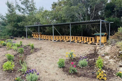 Χώρος νέας υποδομής φιλοξενίας αδέσποτων γατών Ρόδου