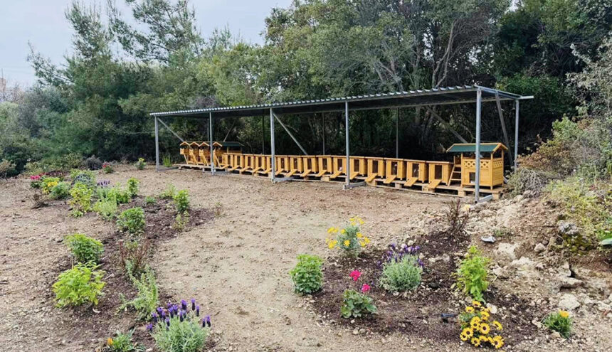 Χώρος νέας υποδομής φιλοξενίας αδέσποτων γατών Ρόδου