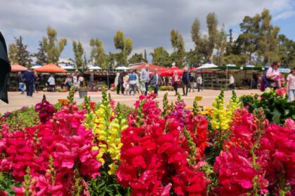 Φερνάντο Αλόνσο κόκπιτ Aston Martin Grand Prix