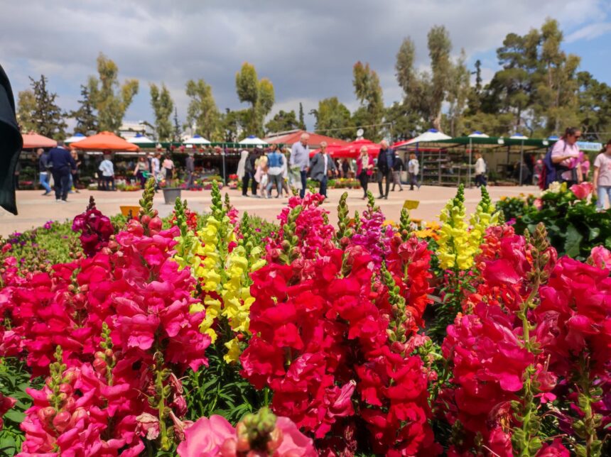 Φερνάντο Αλόνσο κόκπιτ Aston Martin Grand Prix