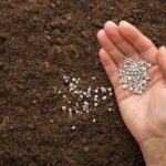 Επίτροπος Γεωργίας για σχέδιο λιπασμάτων