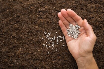 Επίτροπος Γεωργίας για σχέδιο λιπασμάτων