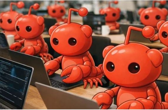 Καθαρισμό καταυλισμού Ρομά Κορακόνερο Ρόδος