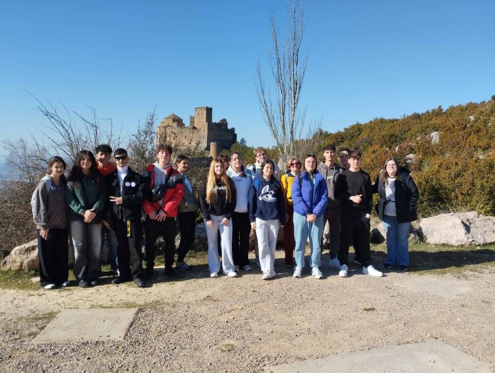 Δημοτικό Καταφύγιο Αδέσποτων Ζώων Συντροφιάς Ρόδου Τσαΐρι