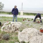 Φεστιβάλ Οικολογίας Ρόδου φυτεύσεις παραθαλάσσια φυτά