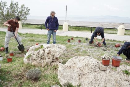 Φεστιβάλ Οικολογίας Ρόδου φυτεύσεις παραθαλάσσια φυτά