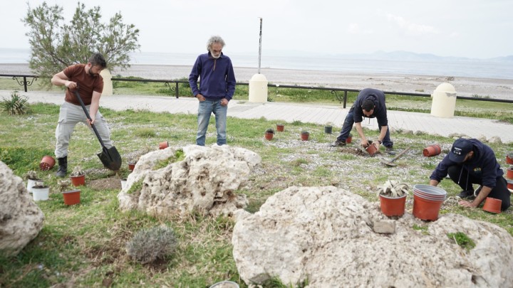 Φεστιβάλ Οικολογίας Ρόδου φυτεύσεις παραθαλάσσια φυτά
