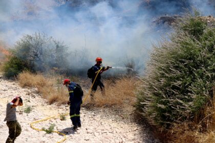 έλεγχος πυροσβεστικής καύση χόρτων περιβάλλον