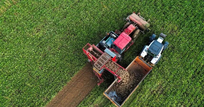 Κώστας Τσιάρας Συμβούλιο Υπουργών κόστος παραγωγής