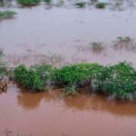 Πλημμύρες Κένυα δρόμοι ποτάμια Ναϊρόμπι