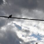 Πρόγνωση καιρού Παρασκευή 20 Μαρτίου με βροχές