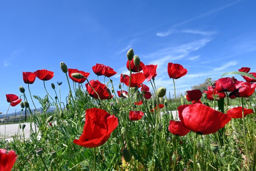 καιρός σήμερα: ουρανός με νεφώσεις και άνεμοι