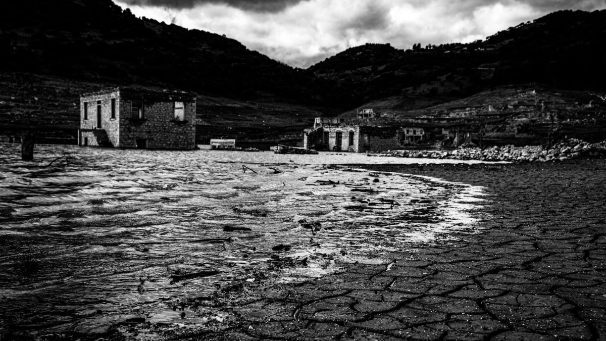 Εξώφυλλο βιβλίου Οι Ορφανοί Ερίκ Βυϊγιάρ