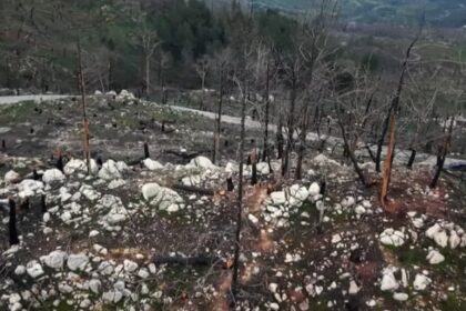 μεγάλη φωτιά Ρόδος εκκένωση τουριστών