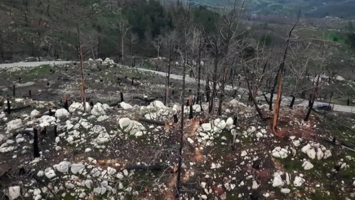 μεγάλη φωτιά Ρόδος εκκένωση τουριστών