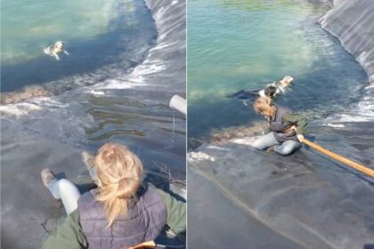 Διάσωση σκύλιων από ταμιευτήρα Κατερίνης