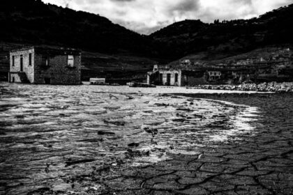 Εξώφυλλο βιβλίου Οι Ορφανοί Ερίκ Βυϊγιάρ