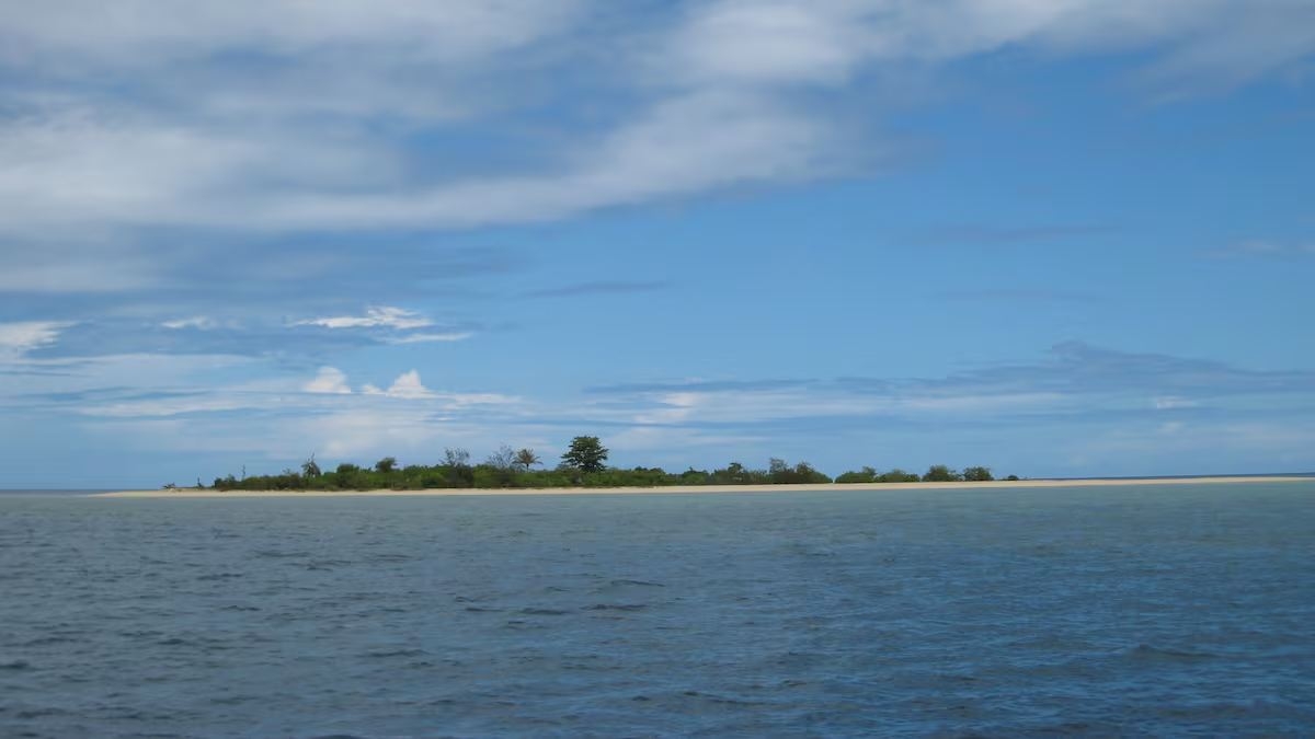 νησί κοχύλια Φίτζι Vanua Levu αρχαίο