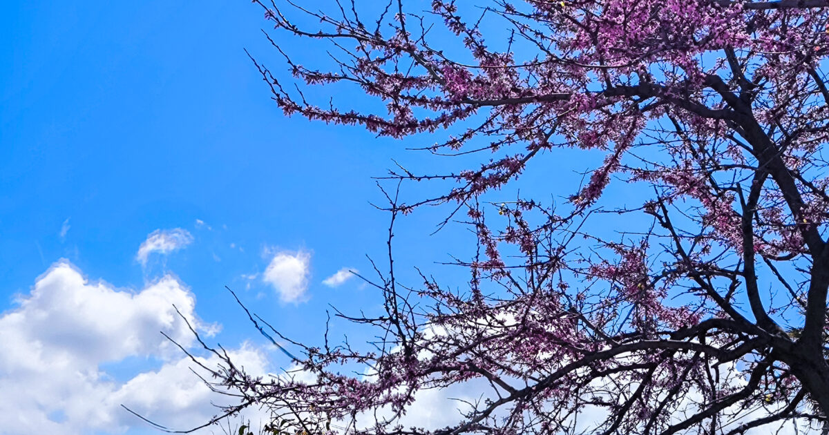 άστατος καιρός βροχές καταιγίδες Ελλάδα