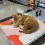 Τεράστια τζίντζερ γάτα αεροδρόμιο Χονγκ Κονγκ έκθεμα