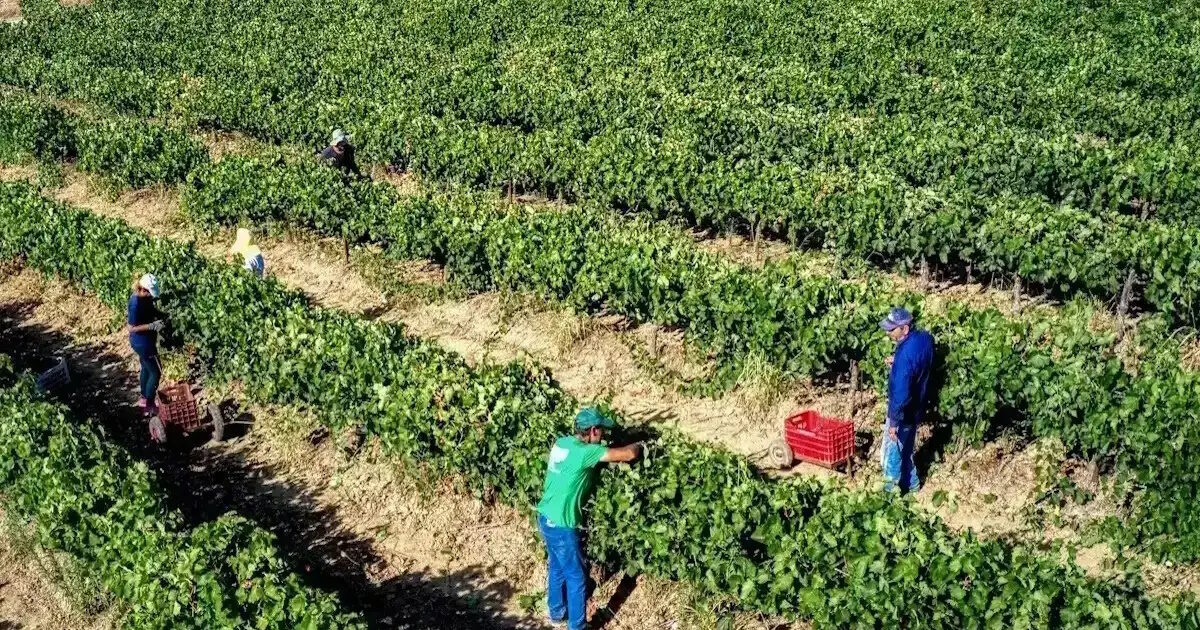 e-ΕΦΚΑ αναδρομικά ποσά συνταξιούχοι πληρωμή