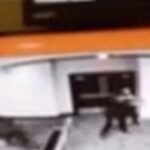 βίντεο επίθεσης Λευκού Οίκου με Κόουλ Άλεν