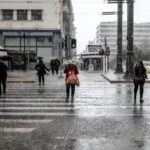 Πτώση δέντρου στη κακοκαιρία οδός Πειραιώς