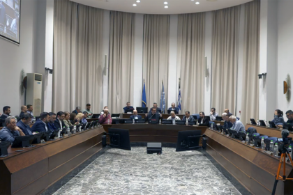 Δημοτικό Συμβούλιο Ρόδου ψήφισμα για Ελένη Καρύδη