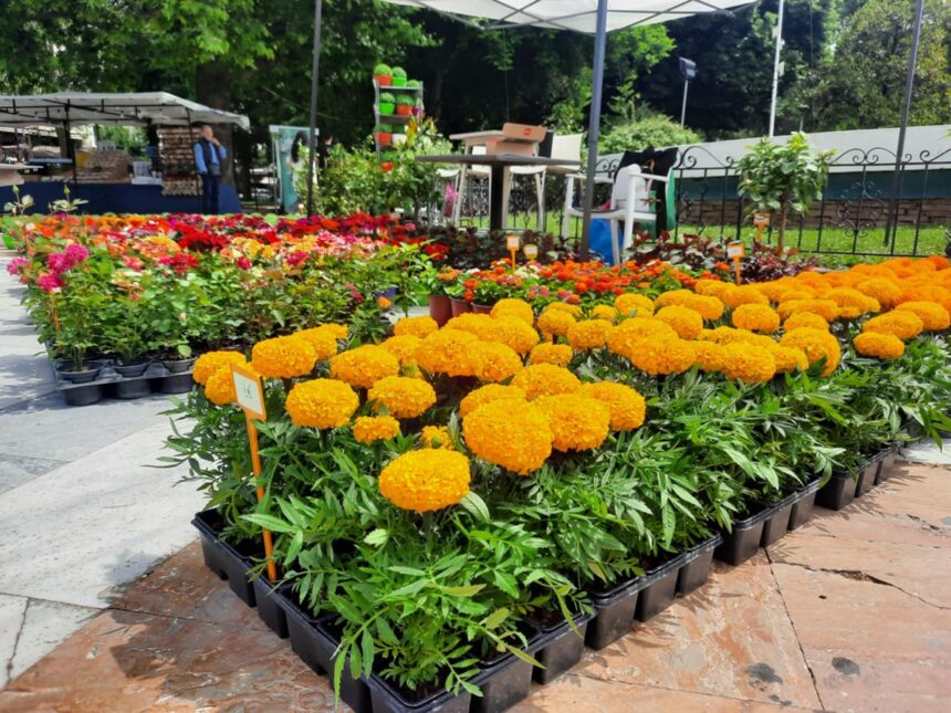 Ανθοκομική Έκθεση Καλαμαριάς στην Ακτή Αρετσού με λουλούδια