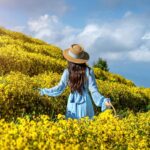 Μερίσματα 2025 εισηγμένες εταιρείες Χρηματιστήριο Αθηνών