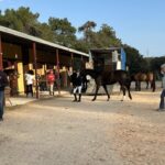 ιππικό τουρνουά ανάπτυξης Ρόδου αθλητές άλογα