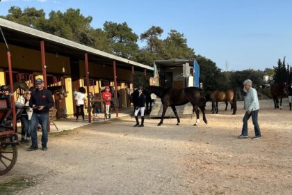 ιππικό τουρνουά ανάπτυξης Ρόδου αθλητές άλογα