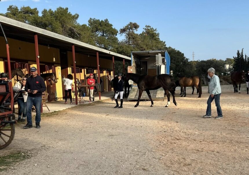 ιππικό τουρνουά ανάπτυξης Ρόδου αθλητές άλογα