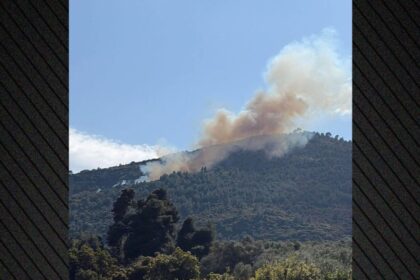 Φωτιά στην Άμπελο Αιγιάλειας - πυροσβεστική επιχειρεί