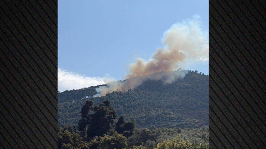 Φωτιά στην Άμπελο Αιγιάλειας - πυροσβεστική επιχειρεί