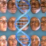 Νέα ταυτότητα και Προσωπικός Αριθμός Π.Α.