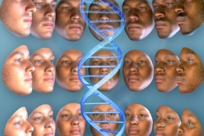 Νέα ταυτότητα και Προσωπικός Αριθμός Π.Α.