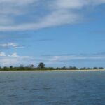 νησί κοχύλια Φίτζι Vanua Levu αρχαίο