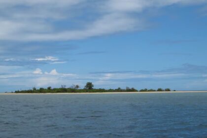 νησί κοχύλια Φίτζι Vanua Levu αρχαίο