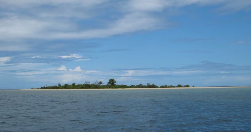 νησί κοχύλια Φίτζι Vanua Levu αρχαίο