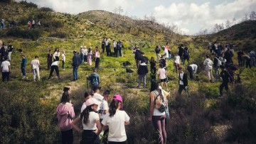 Μαθητές φυτεύουν κυπαρίσσια στην Ιερά Μονή Υψενής