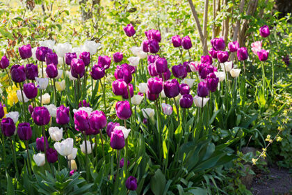 Πράσινα μπαλκόνια διαγωνισμό Ηράκλειο περιβάλλον